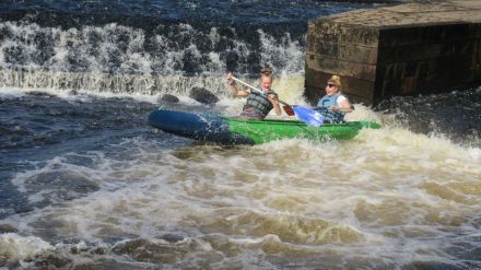 Fotografie img-6390_original_original.jpg