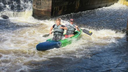 Fotografie img-6391_original_original.jpg