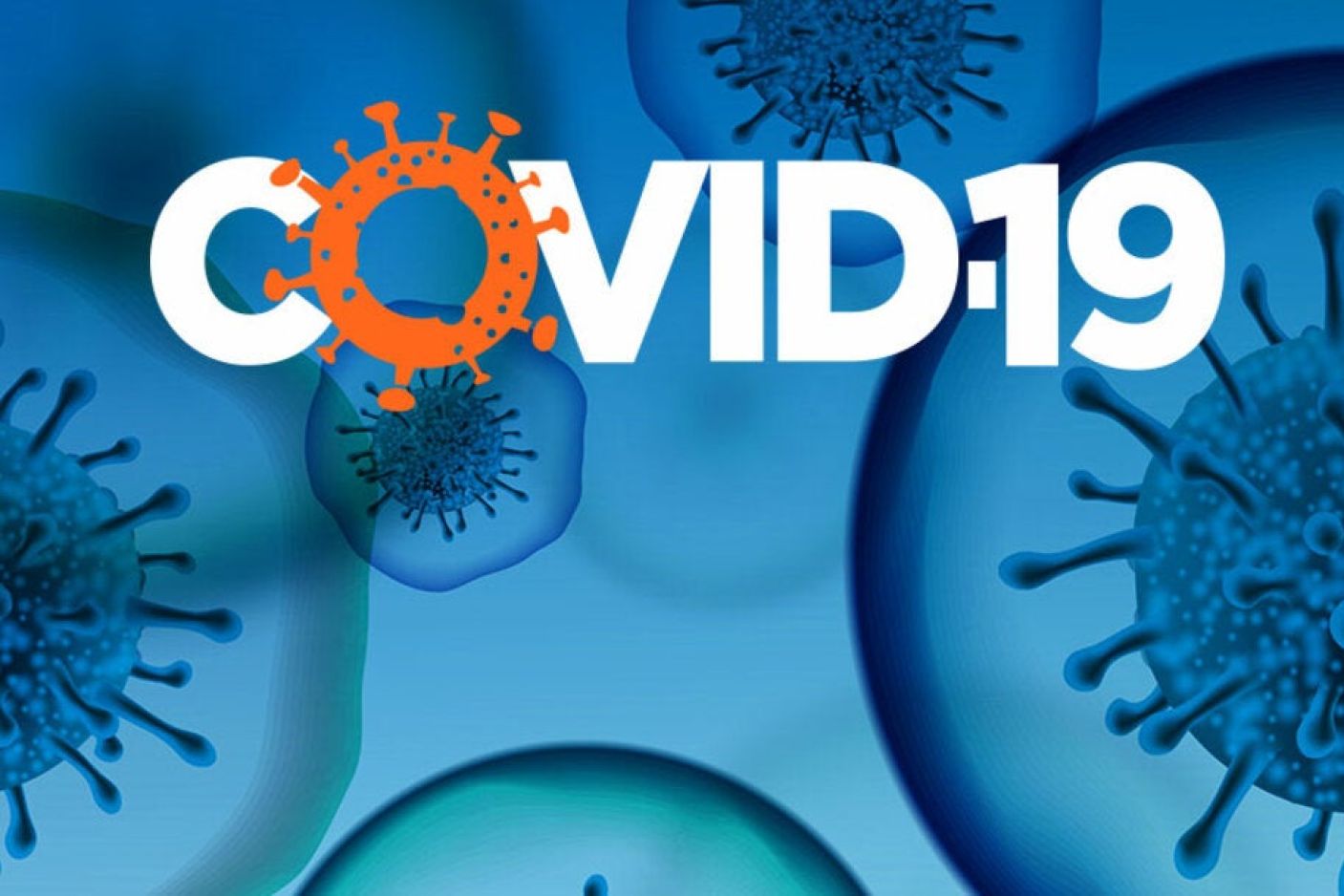  Distanční výuka: -