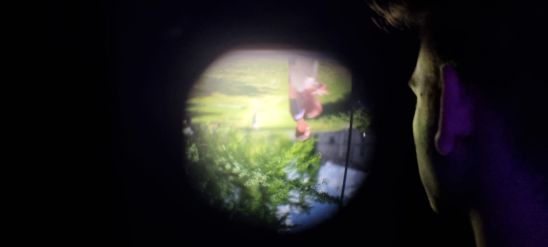 Fotografie 20220607-103014_original_original.jpg