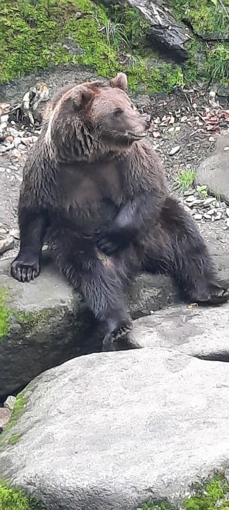 Fotografie 20220914-145744_original_original.jpg