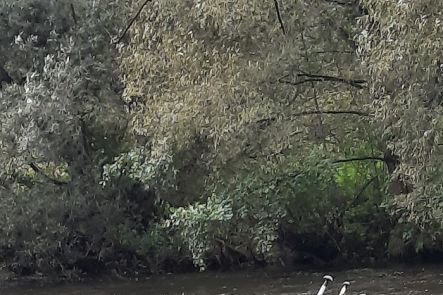 Foto k aktualitě  Vodák ME2, U2ABC 2022