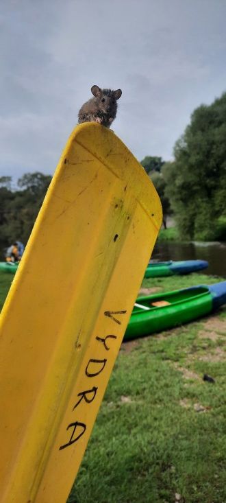 Fotografie 20220916-100356_original_original.jpg