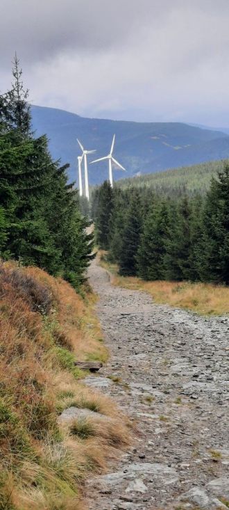 Fotografie 20220919-133922_original_original.jpg