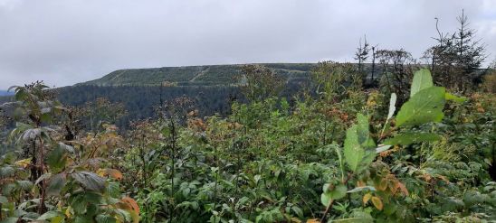 Fotografie 20220919-134814_original_original.jpg