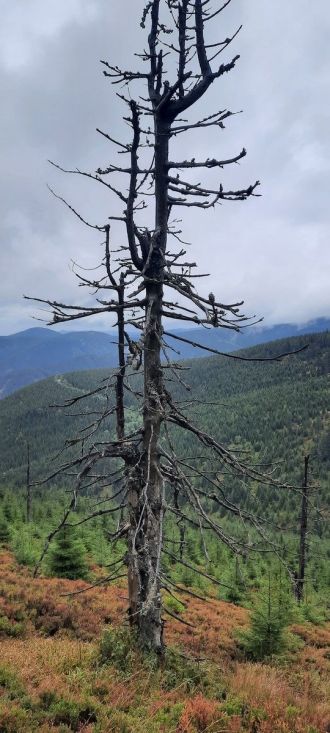 Fotografie 20220919-134921_original_original.jpg