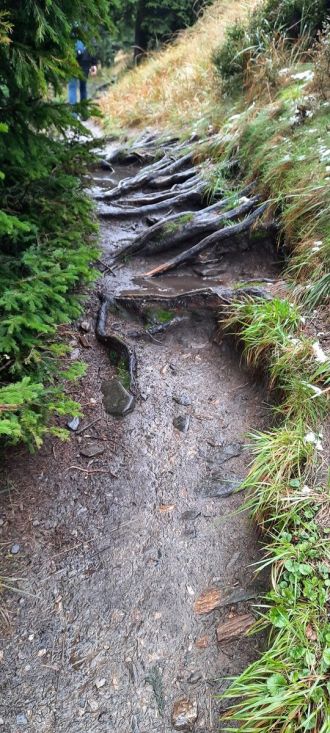 Fotografie 20220919-135140_original_original.jpg