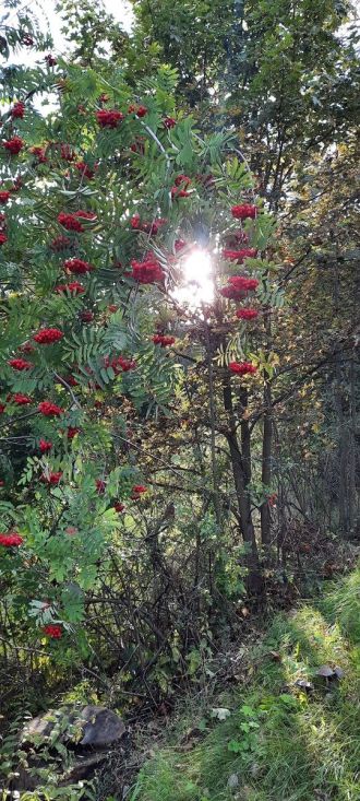 Fotografie 20220920-172025_original_original.jpg