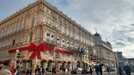 Fotografie 20221206-140546_original_original.jpg