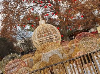 Fotografie 20221206-153515_original_original.jpg