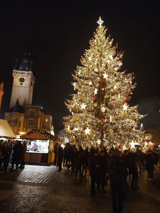 Fotografie p11_original_original.jpg