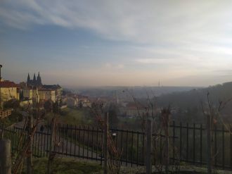 Fotografie p1_original_1_original.jpg