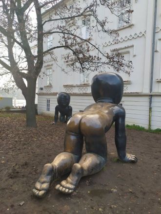 Fotografie p2_original_1_original.jpg