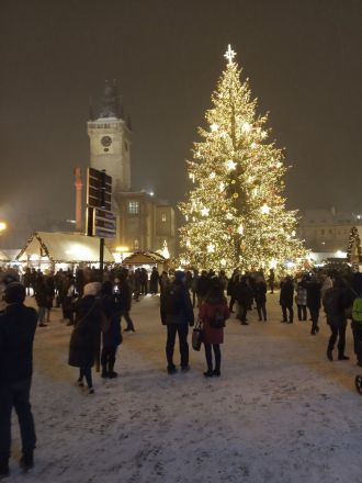 Fotografie img-20221214-170611_original_original.jpg