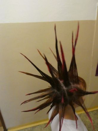 Fotografie p1000602_original_original.jpg