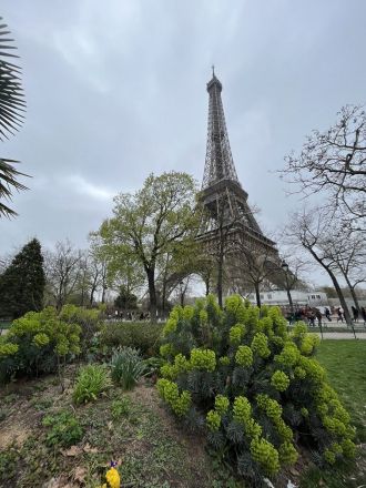 Fotografie img-3945_original_original.jpg