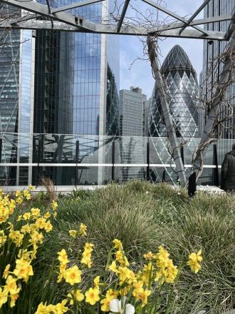 Fotografie img-4589_original_original.jpg