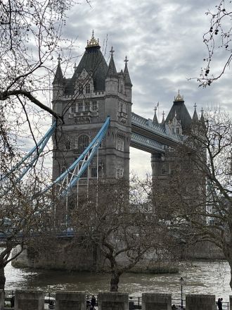 Fotografie img-4603_original_original.jpg