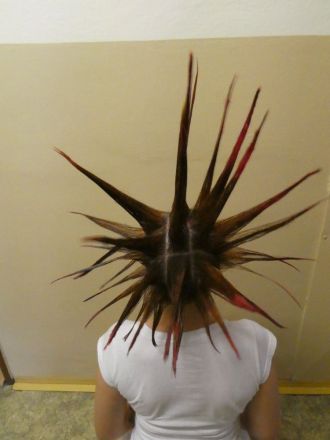 Fotografie p1000603_original_original.jpg