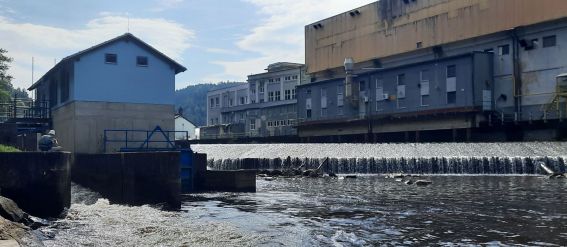 Fotografie 20230913-120826_original_original.jpg