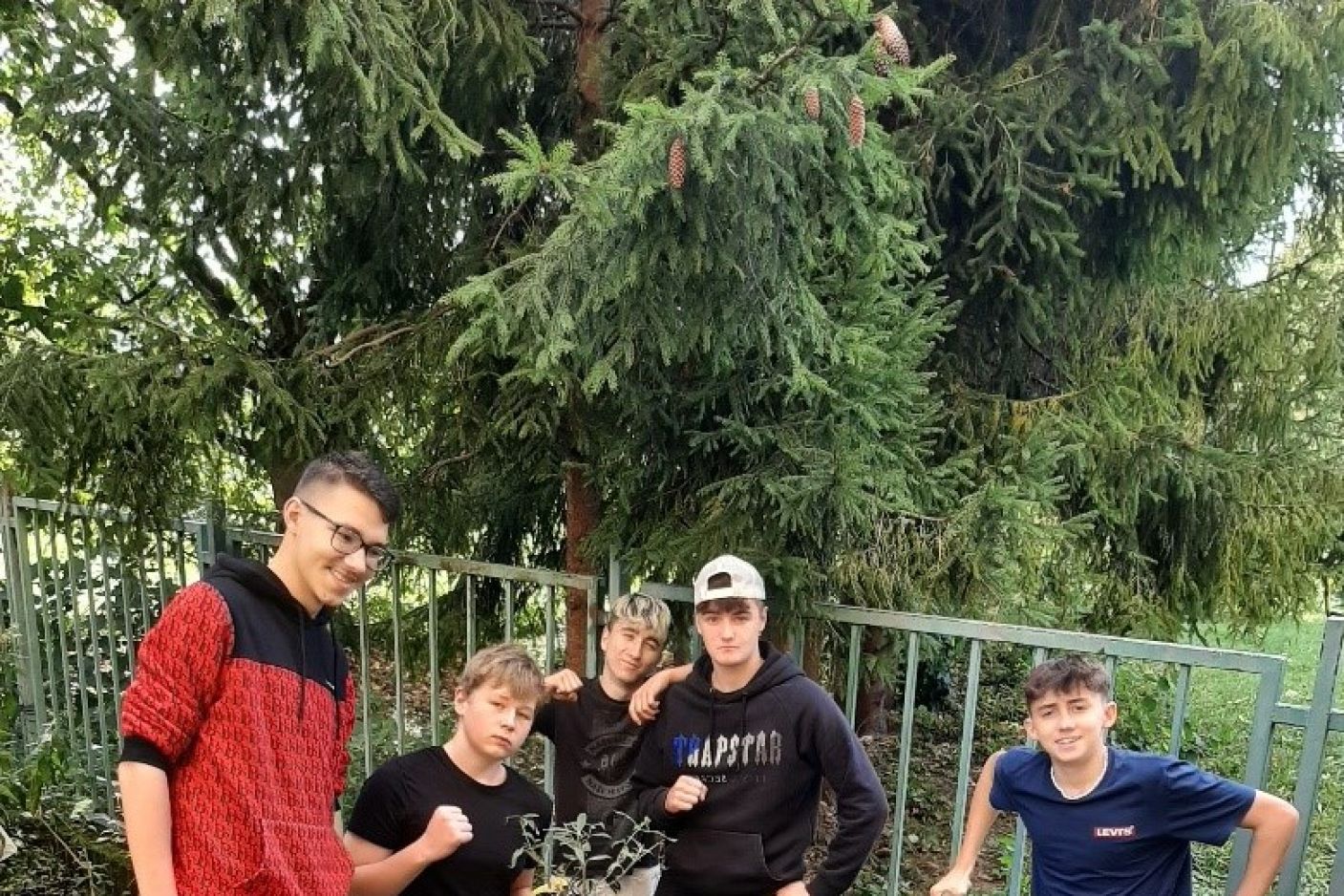  Motýlí keře ve školním atriu