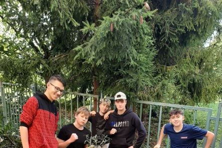 Foto k aktualitě Motýlí keře ve školním atriu