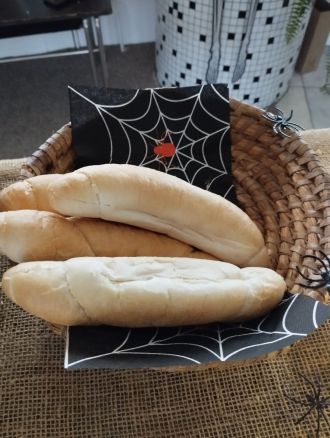 Fotografie 1698767356309_original_original.jpg