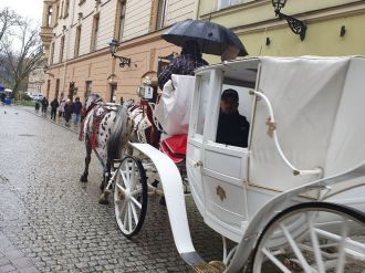 Fotografie 20231213-122042_original_original.jpg