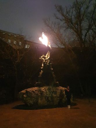 Fotografie 20231213-162635_original_original.jpg