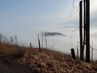 Fotografie 1000001991_original_original.jpg