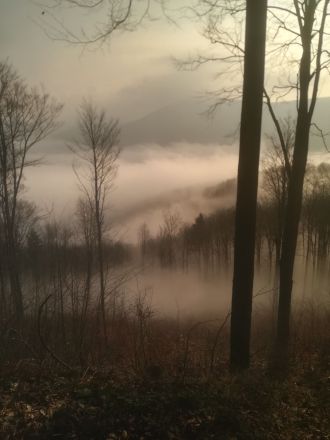 Fotografie img-20240229-091830_original_original.jpg