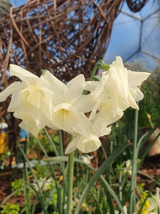 Fotografie 20240409-103405_original_original.jpg