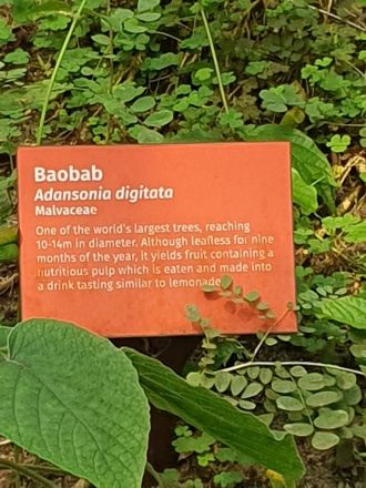 Fotografie 20240409-111251_original_original.jpg