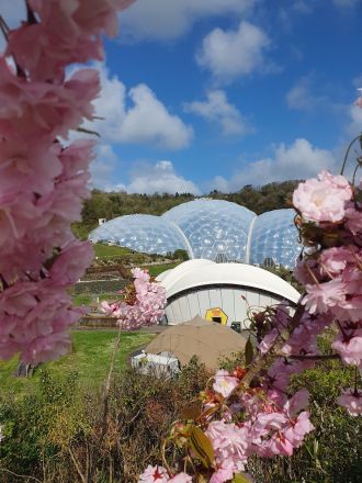 Fotografie 20240409-115457_original_original.jpg