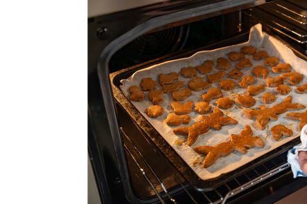 Foto k aktualitě Pečení perníčků