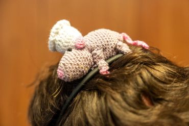 Fotografie dsc01064_1_original_original.jpg