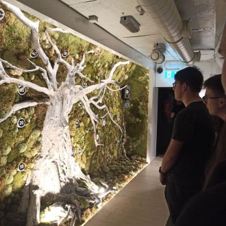 Fotografie img-20240513-173011_original_original.jpg