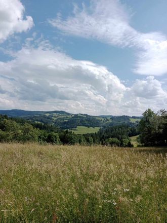 Fotografie 24_original_1_original.jpg