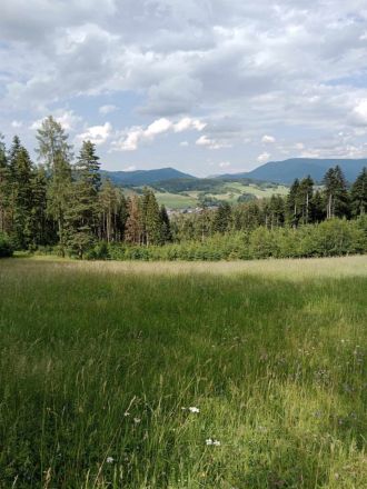 Fotografie 25_original_original.jpg