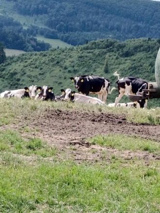 Fotografie 26_original_original.jpg