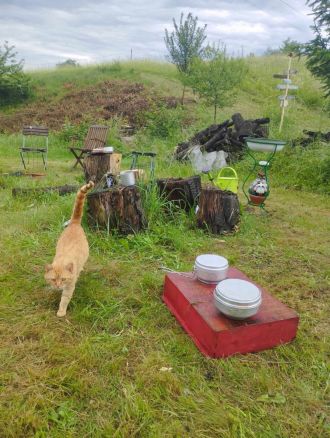 Fotografie 29_original_original.jpg