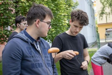 Fotografie img-5871_original_1_original.jpg