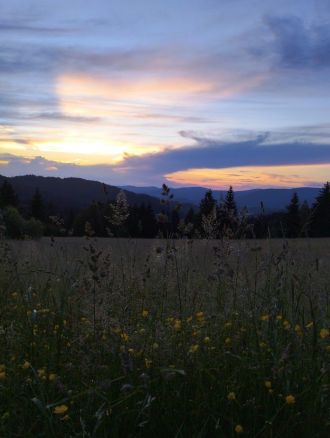 Fotografie ex10_original_original.jpg