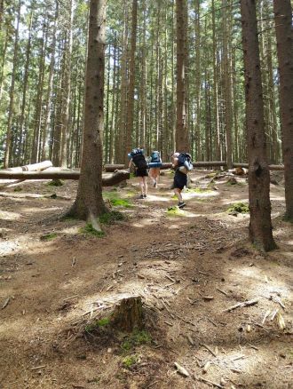 Fotografie ex7_original_original.jpg