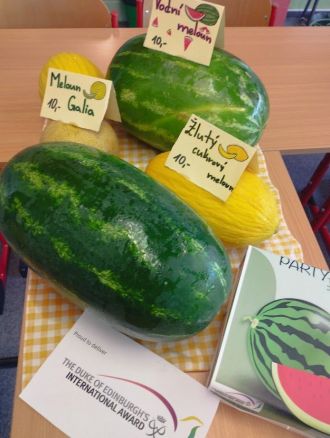 Fotografie mel2_original_original.jpg