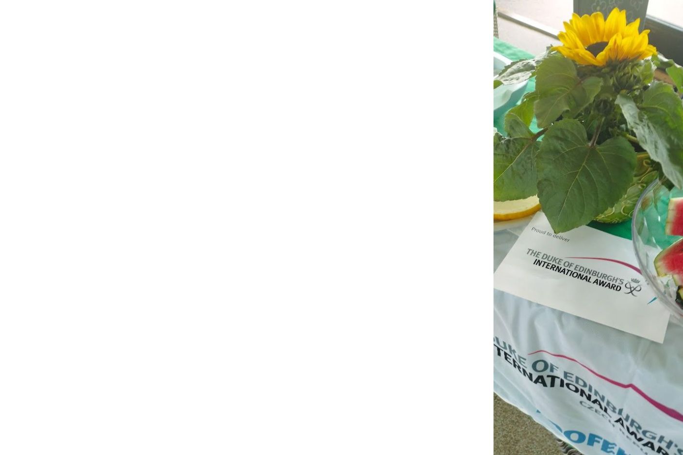  Watermelon Party 2024