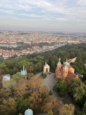 Fotografie img-5271_original_original.jpg