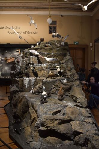 Fotografie dsc-0248_original_1_original.jpg