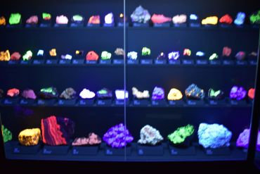 Fotografie dsc-0253_original_1_original.jpg