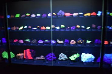 Fotografie dsc-0254_original_1_original.jpg